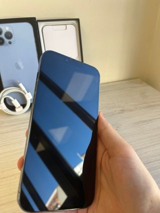 iPhone 13 Pro Max 1TB