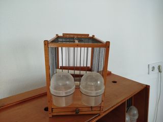 Transpotines de madera para pájaros