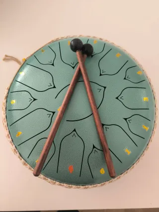 Tamburi a lingua d'acciaio con accessori