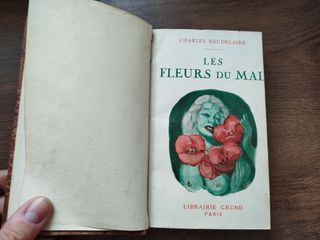 Les Fleurs Du Mal; Premier de cordée