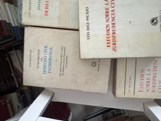 Libro  derecho civil luis diez picazo