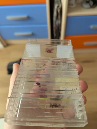 Microscopio National Geographic 40X-640X