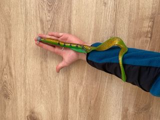 Seuelo pesca siluro enorme