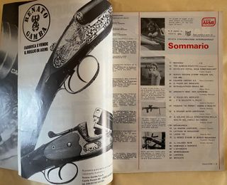 Rivista Diana Armi Agosto 1976 N.8