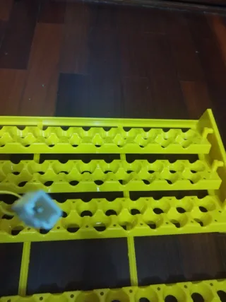 Bandeja Volteo Huevos Codorniz 132 Huevos 12V