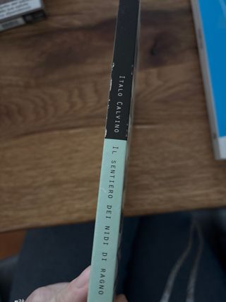 Il sentiero dei nidi di ragno (Oscar Opere di I...