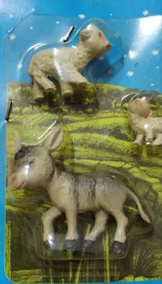 Belén Oliver Cabezones Blíster