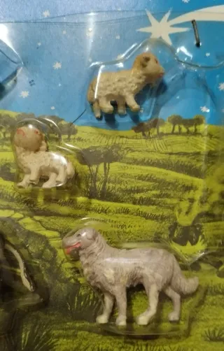 Belén Oliver Cabezones Blíster