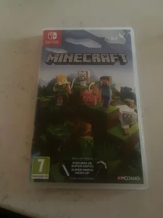 Minecraft Nintendo Switch