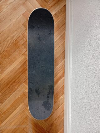 Skate Globe Original