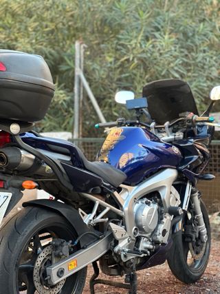 Yamaha FZ6 S