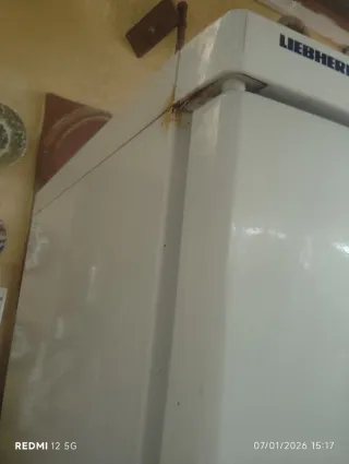 Nevera Liebherr blanca