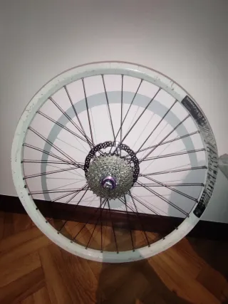 Llanta Trasera Alexrims Descenso