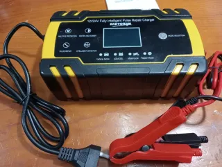 Cargador Batería Coche Moto Camión 12V/24V