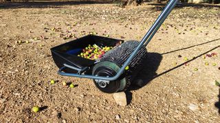 Recolectora aceituna de suelo nº1