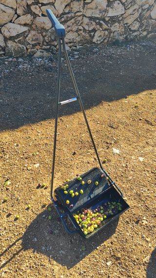 Recolectora aceituna de suelo nº1