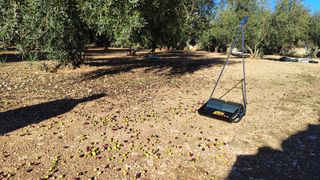 Recolectora aceituna de suelo nº1