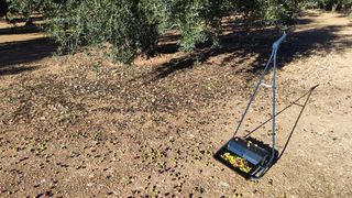 Recolectora aceituna de suelo nº1