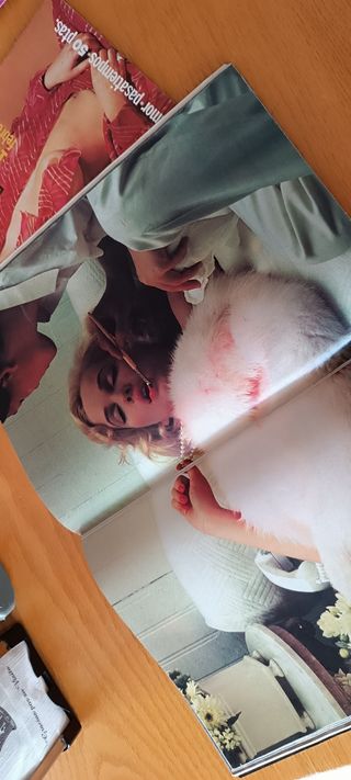 Revistas Lui y El Papus