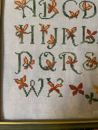 Quadro alfabeto punto croce 26x32