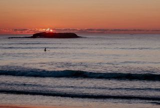 Cámara Nikon D3100 Negra