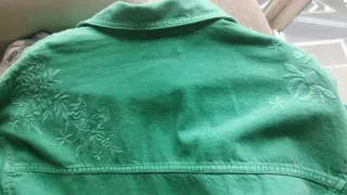 Sobrecamisa vaquera bordada verde.