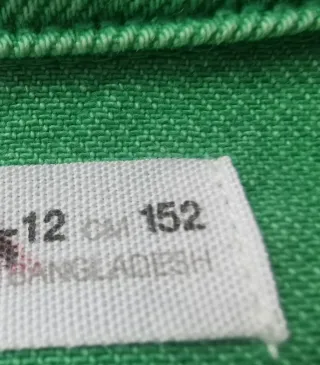 Sobrecamisa vaquera bordada verde.