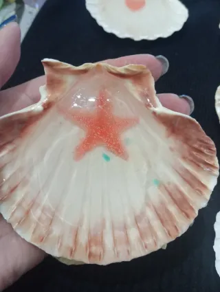 Set 6 conchiglie decorative resina epossidica