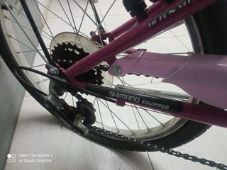 Bicicleta infantil morada X-Trail