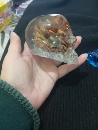 Teschio resina con pigna