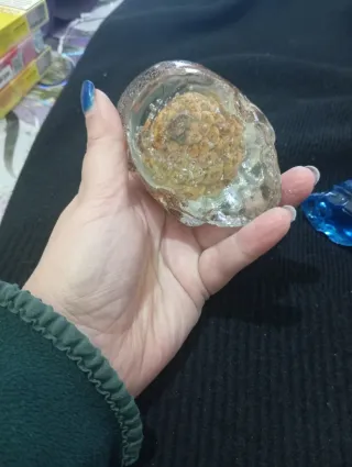 Teschio resina con pigna