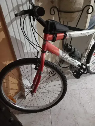 Bicicleta 26 Gold Hi-Way Traction