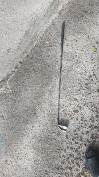 Palo de golf Prosimmon