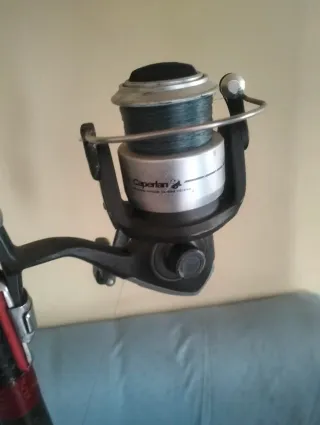 Caña de pescar con carrete