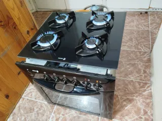 Horno eléctrico con placa  vitrogas
