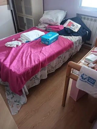 Cama articulada hospital articulada