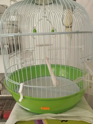 Jaula para pájaros NO NEGOCIABLE