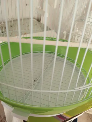 Jaula para pájaros NO NEGOCIABLE