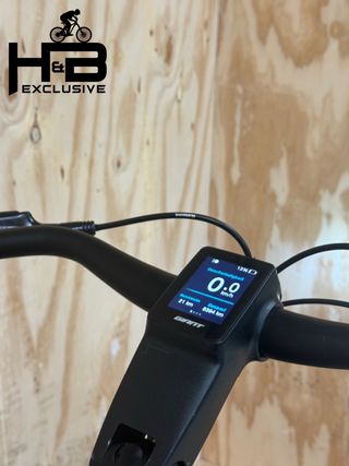 Giant DailyTour E+ 1 BD GTS Shimano Nexus 2022