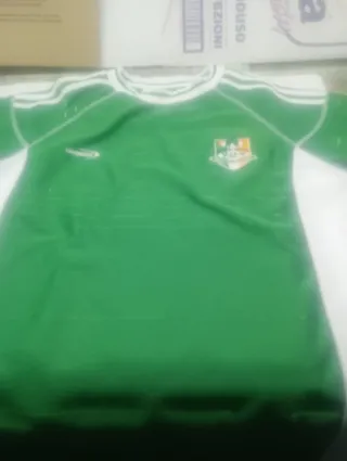 Maglietta Calcio Irlanda