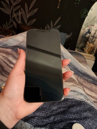 iPhone 12 Pro Max Space Gray
