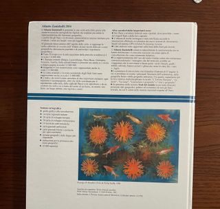 Atlante geografico Zanichelli 2004