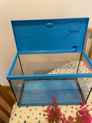 Acuario Aqualantis 15L con decoración