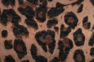 Camiseta manga larga estampado leopardo