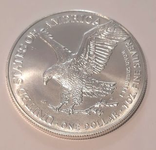 8 once Argento 999 Walking Liberty annate varie