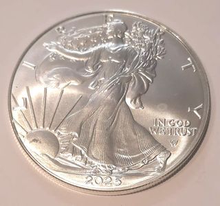 8 once Argento 999 Walking Liberty annate varie