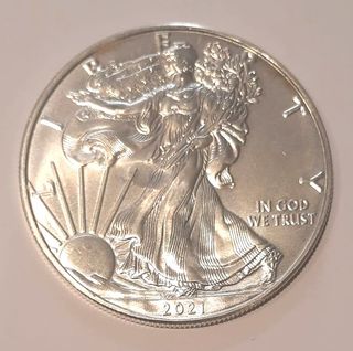 8 once Argento 999 Walking Liberty annate varie