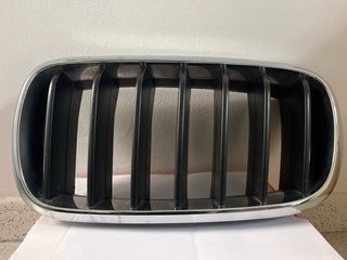 Rejilla Izquierda BMW X5