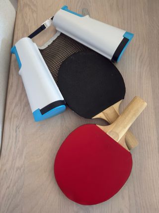 Juego de ping pong con red