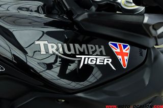 TRIUMPH TIGER 800 ¿A2?